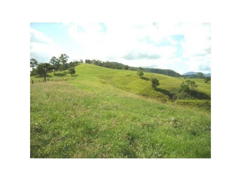 24 Oakey Creek Road, Georgica NSW 2480