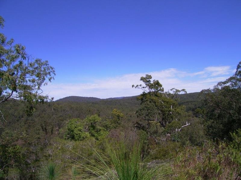 Lot 11 Long Gully Road, Drake NSW 2469