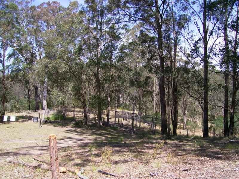Lot 11 Long Gully Road, Drake NSW 2469