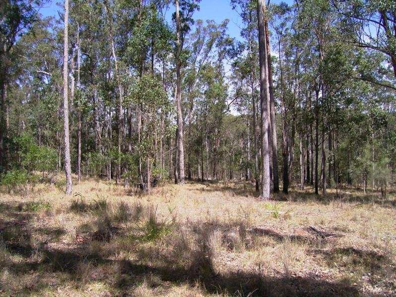 Lot 11 Long Gully Road, Drake NSW 2469
