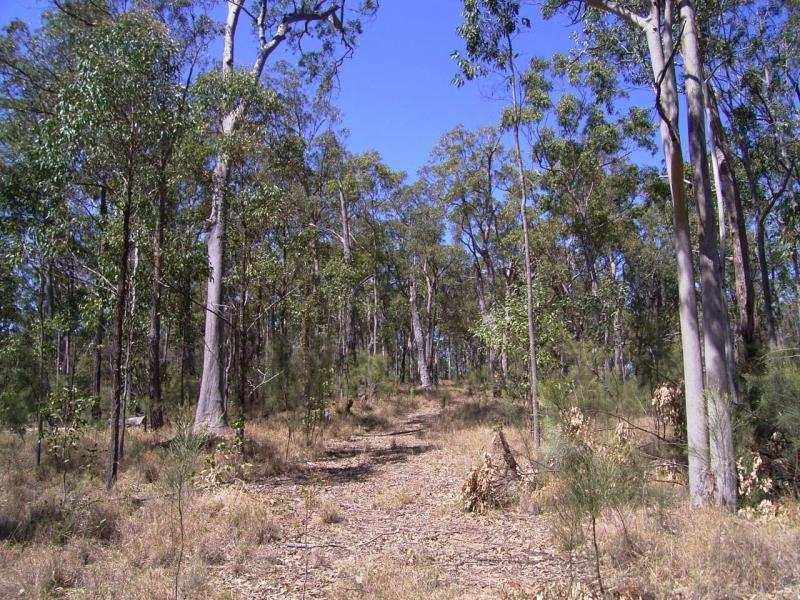 Lot 11 Long Gully Road, Drake NSW 2469