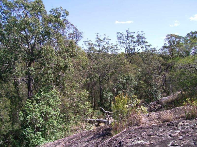 Lot 11 Long Gully Road, Drake NSW 2469