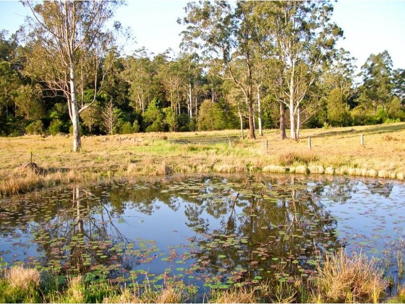 1338 Mount Marsh Road, Whiporie NSW 2469