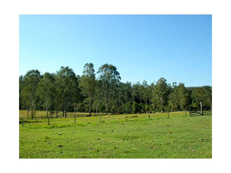 1338 Mount Marsh Road, Whiporie NSW 2469