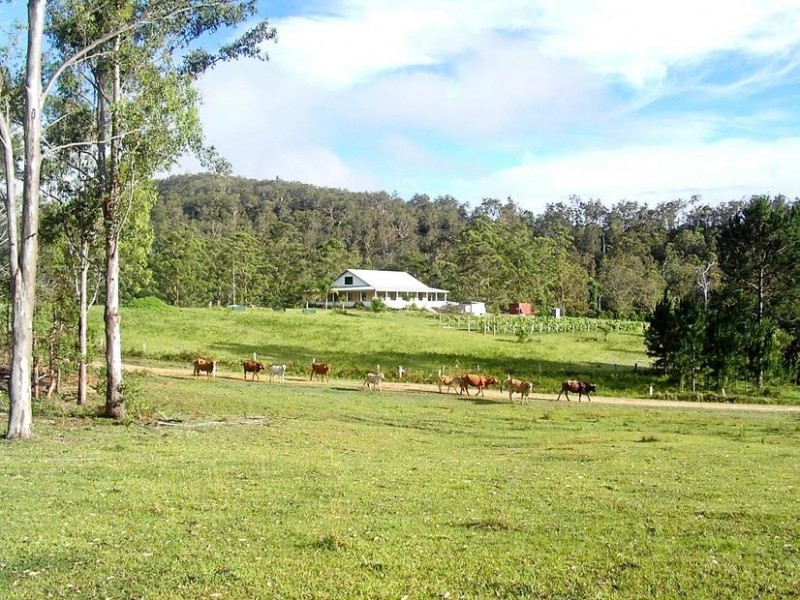 1338 Mount Marsh Road, Whiporie NSW 2469