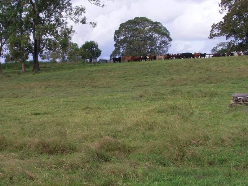 Lot 17 Saville Road, Casino NSW 2470