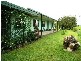 55 Pinchin Road, Goolmangar NSW 2480