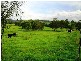 55 Pinchin Road, Goolmangar NSW 2480