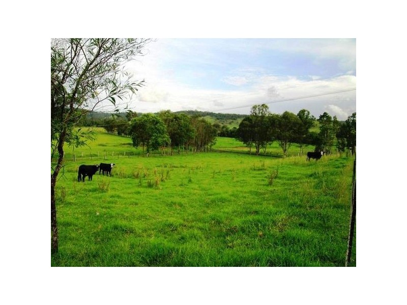 55 Pinchin Road, Goolmangar NSW 2480