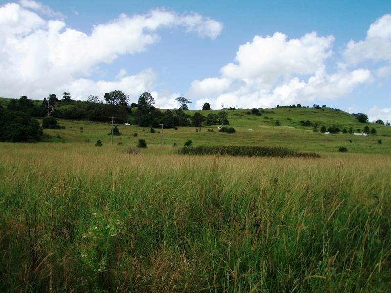 450 Wyrallah Road, Lismore NSW 2480