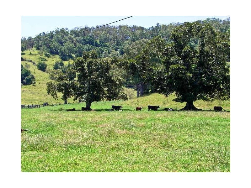 49 Hicks Road, Spring Grove NSW 2470