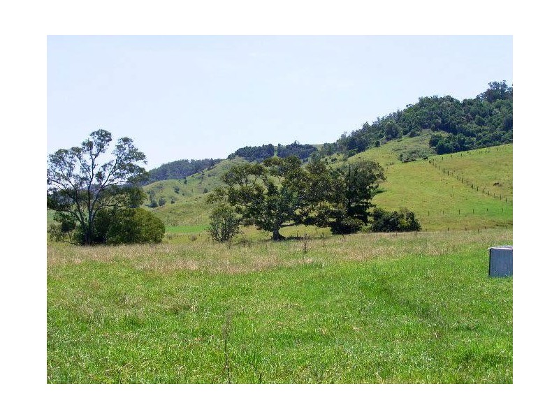 49 Hicks Road, Spring Grove NSW 2470