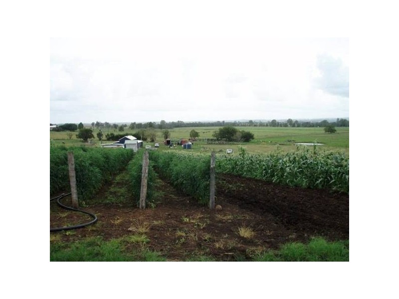 80 Strongs Road, Fairy Hill NSW 2470