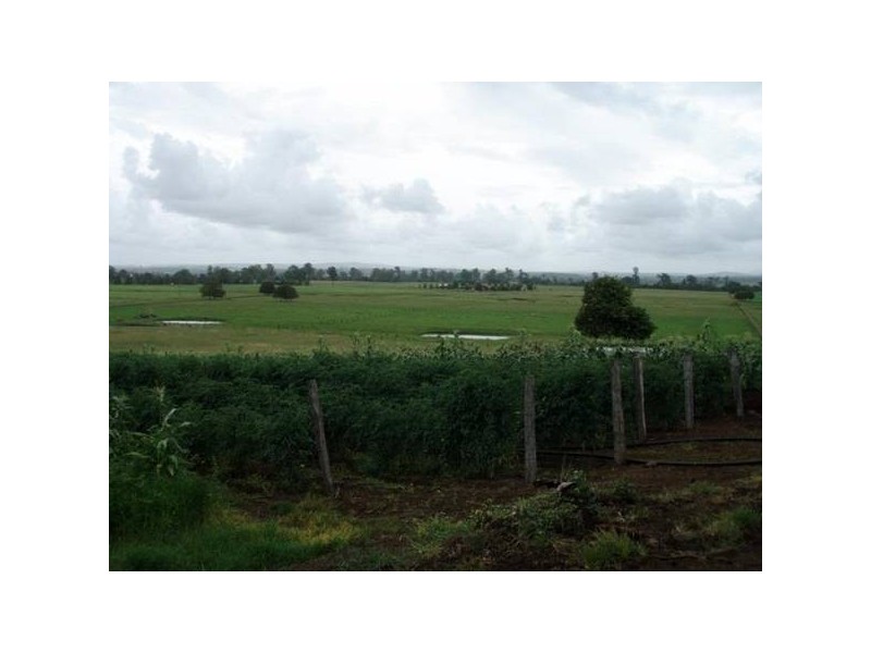 80 Strongs Road, Fairy Hill NSW 2470