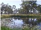 9155 Summerland Way, Leeville NSW 2470