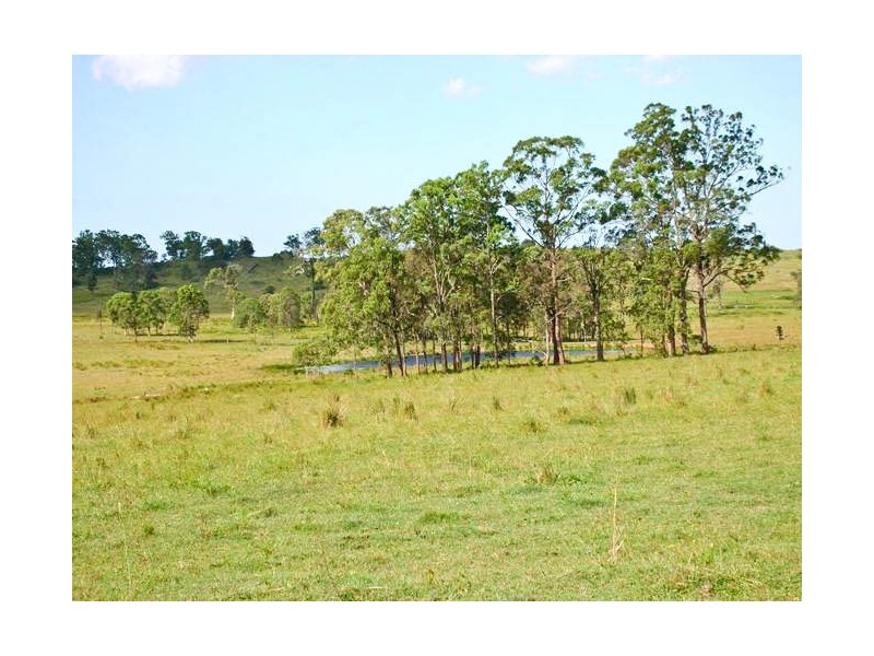 Lot 40 Reynolds Road, Codrington NSW 2471