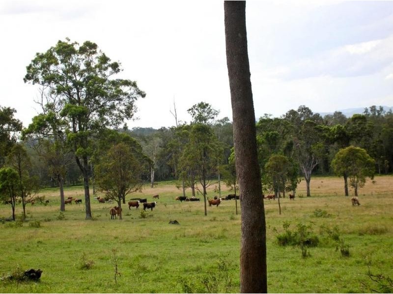 Lot 40 Reynolds Road, Codrington NSW 2471