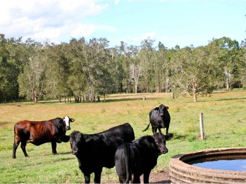 Lot 40 Reynolds Road, Codrington NSW 2471