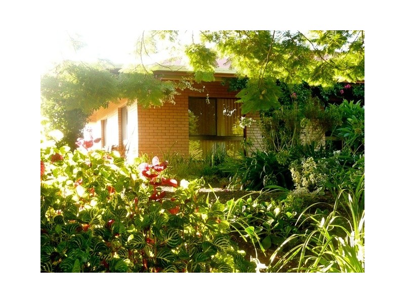 24 James Street, Dunoon NSW 2480