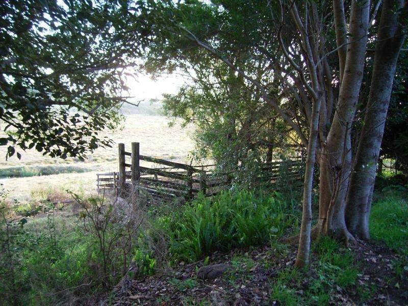 88 Lagoon Grass Road, Lagoon Grass NSW 2480