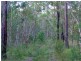 Lot 6 Myall Creek Road, Coraki NSW 2471