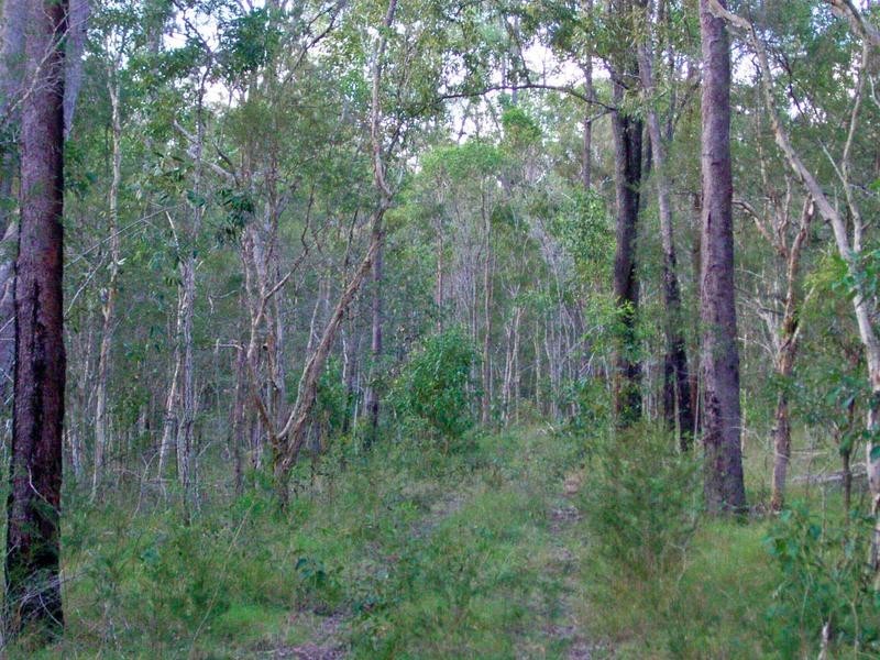 Lot 6 Myall Creek Road, Coraki NSW 2471