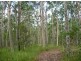 Lot 6 Myall Creek Road, Coraki NSW 2471
