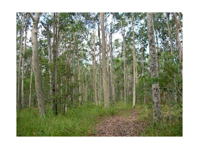 Lot 6 Myall Creek Road, Coraki NSW 2471