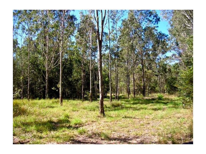 1555 Ellangowan Road, Ellangowan NSW 2470