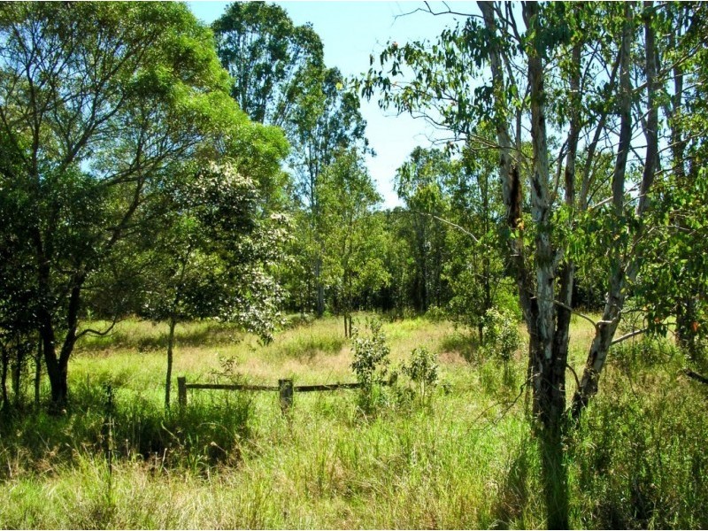 1555 Ellangowan Road, Ellangowan NSW 2470