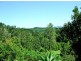 782 Duncan Road, Dunoon NSW 2480