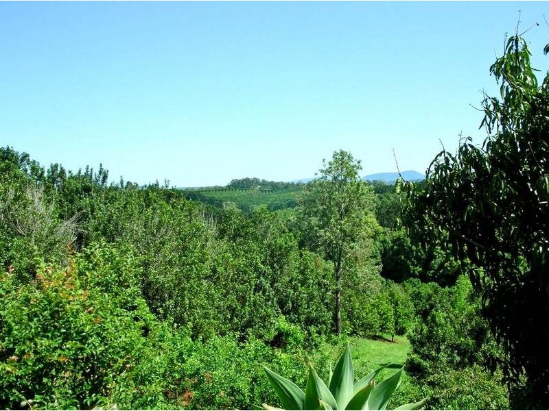 782 Duncan Road, Dunoon NSW 2480