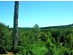 782 Duncan Road, Dunoon NSW 2480