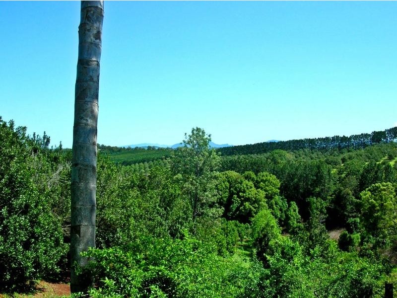 782 Duncan Road, Dunoon NSW 2480