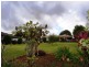 42 Dudley Drive, Goonellabah NSW 2480