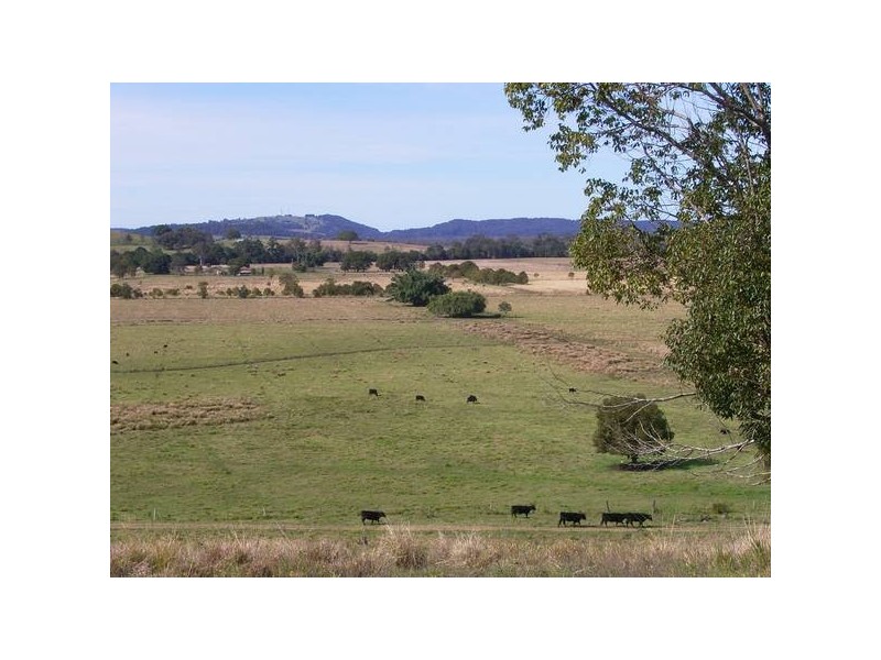 51 Tucki Road, Wyrallah NSW 2480