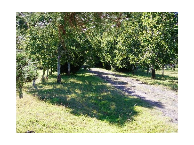 28 Spring Grove Road, Spring Grove NSW 2470