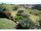 42 Pagotto’s Ridge Road, Tullera NSW 2480