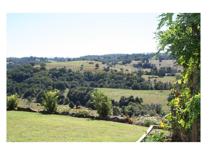 42 Pagotto’s Ridge Road, Tullera NSW 2480