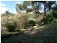 103 Brunswick Street, Lismore NSW 2480