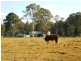 Lot 5 Marks Lane, Leeville NSW 2470