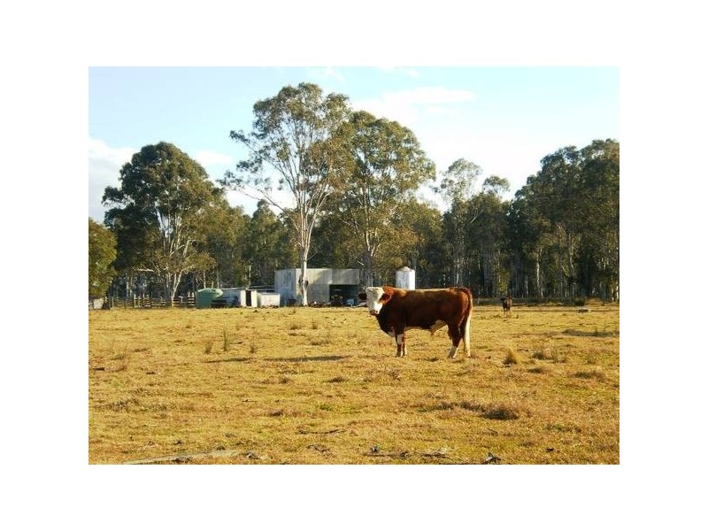 Lot 5 Marks Lane, Leeville NSW 2470