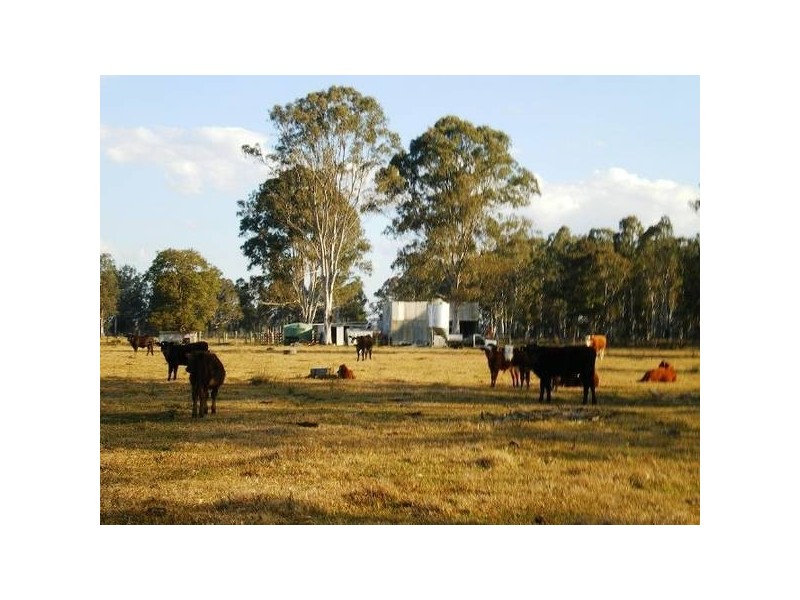 Lot 5 Marks Lane, Leeville NSW 2470