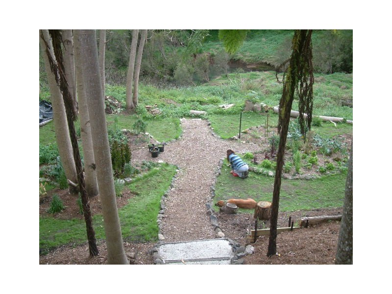 52 Terania Street, The Channon NSW 2480