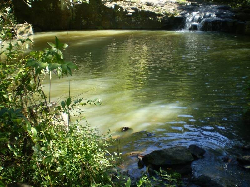 1027 Pinchin Road, Goolmangar NSW 2480