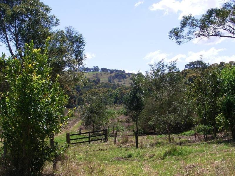 1027 Pinchin Road, Goolmangar NSW 2480