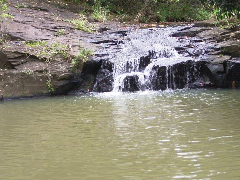 1027 Pinchin Road, Goolmangar NSW 2480