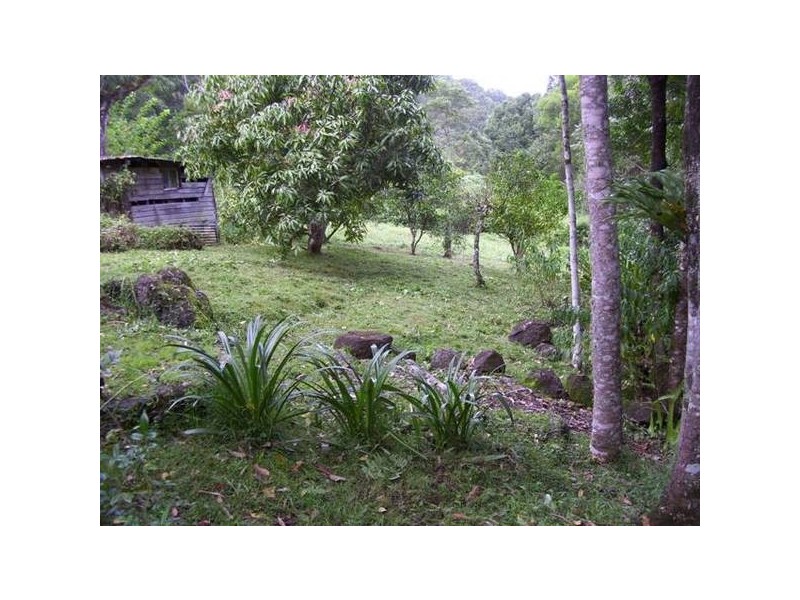 700 Terania Creek Road, Terania Creek NSW 2480