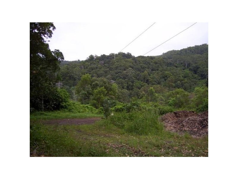 700 Terania Creek Road, Terania Creek NSW 2480