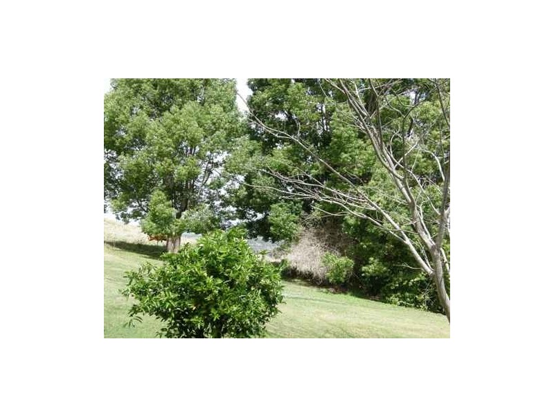 21 Ankana Crescent, Goonellabah NSW 2480